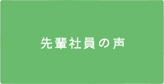先輩社員の声