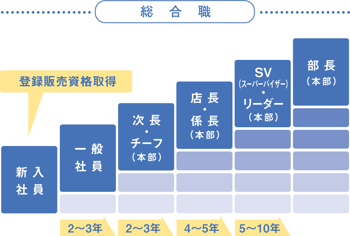 チャート図：総合職のキャリアプラン