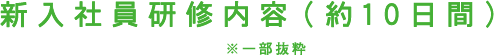 新入社員研修内容（約10日間）※一部抜粋