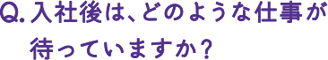 入社後は、どのような仕事仕事が待っていますか？